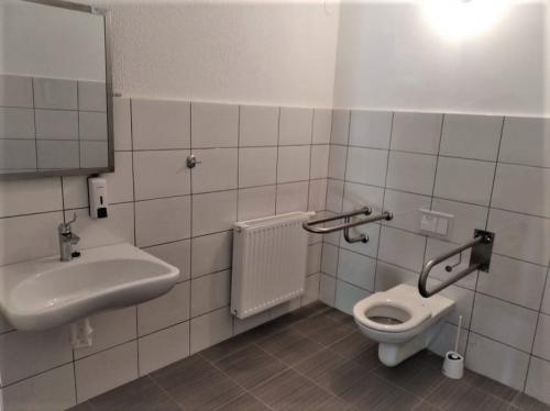 Kompletna adaptacija postojećih sanitarnih čvorova u Domu kulture u Dardi